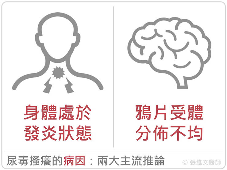 尿毒搔癢的病因